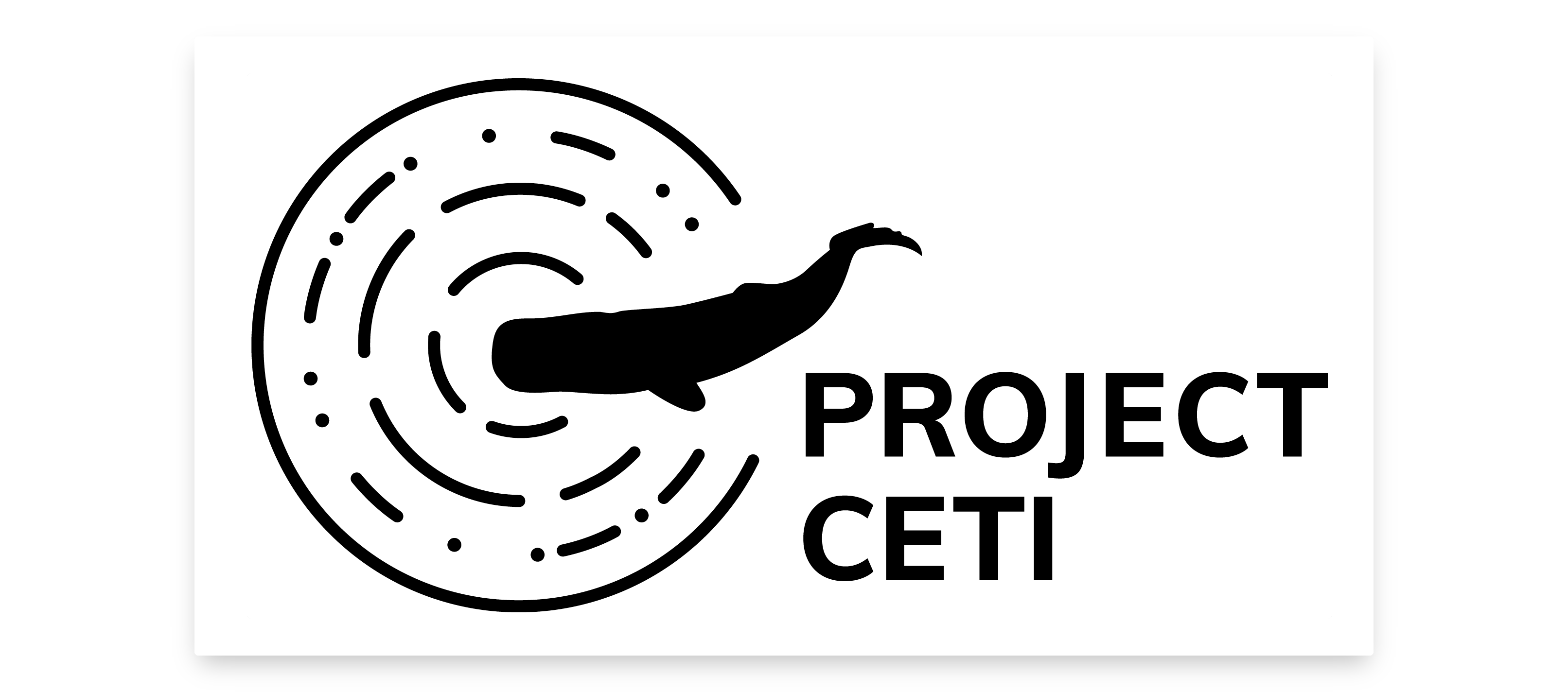 Dolphins | Project CETI : @ishandeveloper